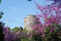 Photo by Murat u015eengu00fcl