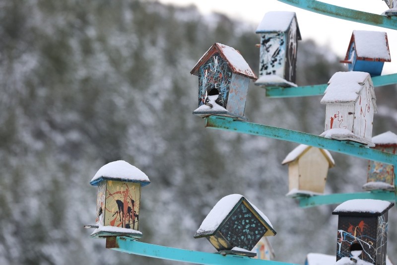 Winter beauties in Turkey's first fauna display area