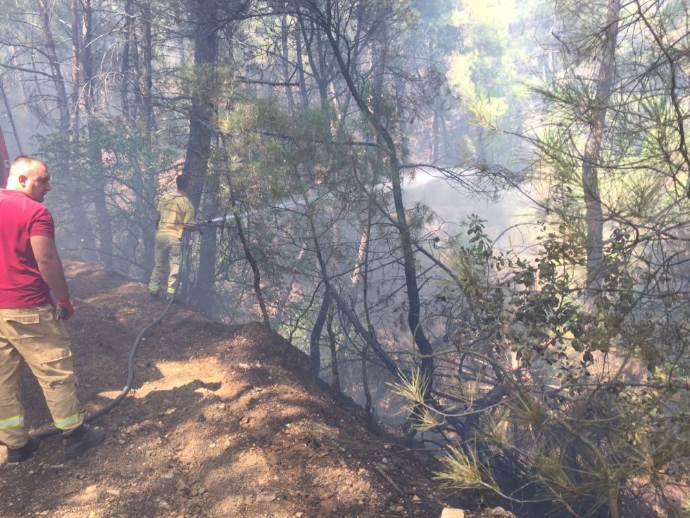 Firefighters spray water to cool off a charred part of the forest.