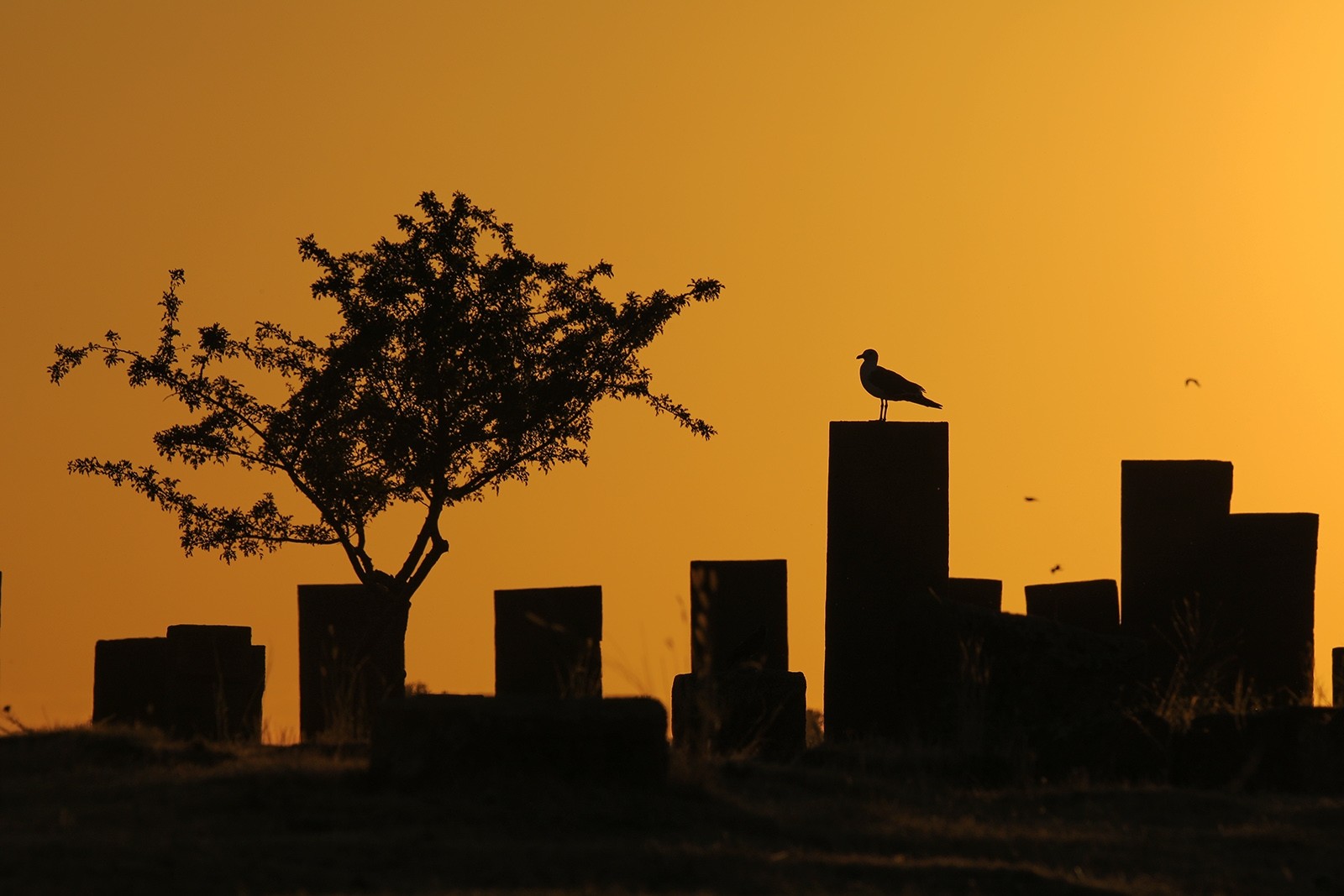 Древние гробницы Ахлата — крупнейшее тюрко-мусульманское кладбище в мире
