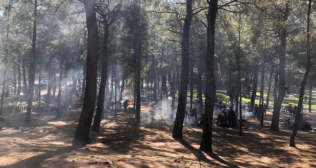 ولاية إسطنبول تقرر حظر دخول الغابات طيلة شهر أغسطس