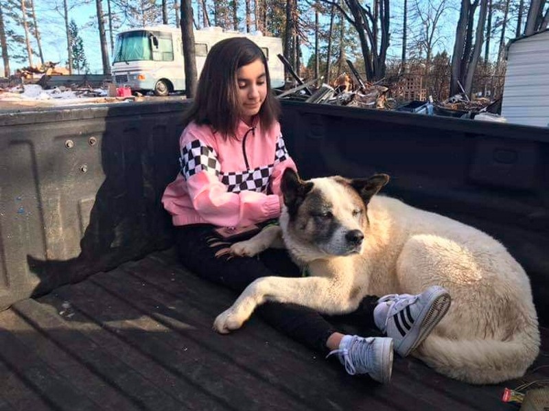 This Feb. 18, 2019 photo provided by Ben Lepe shows Maleah Ballejos reunited with her dog Kingston in Paradise, Calif. (AP Photo)