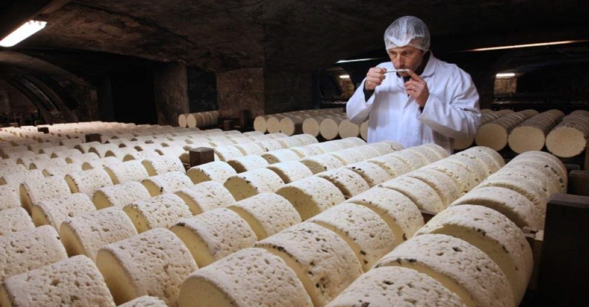 In this Jan. 21, 2009, file photo, Bernard Roques, a refiner of Societe company, smells a Roquefort cheese as it matures in a cellar in Roquefort, southwestern France. (AP Photo)