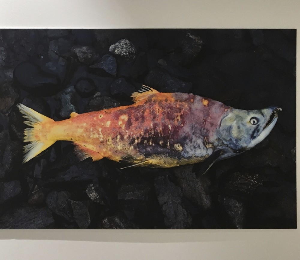 During her art residency at Chulitan Lodge in Alaska, photographer Louisa Marie Summer went to the mouth of Lake Clark to visualize the stunning colors of natural death in the environment.