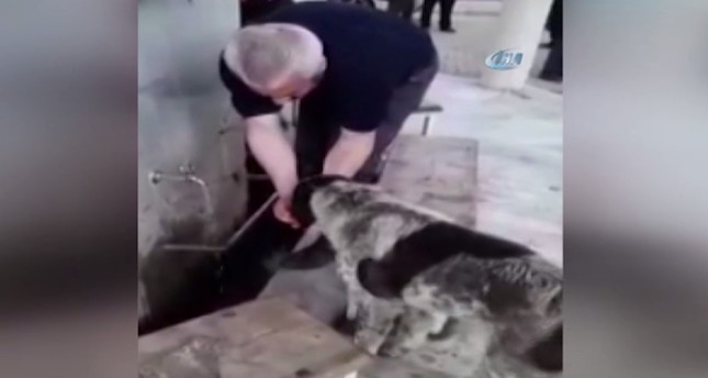 مواطن تركي يسقي كلبا الماء أثناء وضوئه
