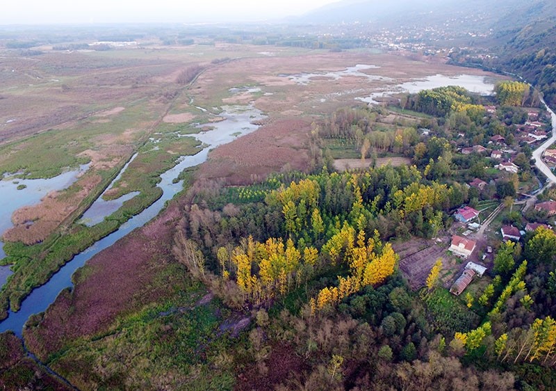 Bird paradise in northwest Turkey amazes visitors with scenery, wildlife