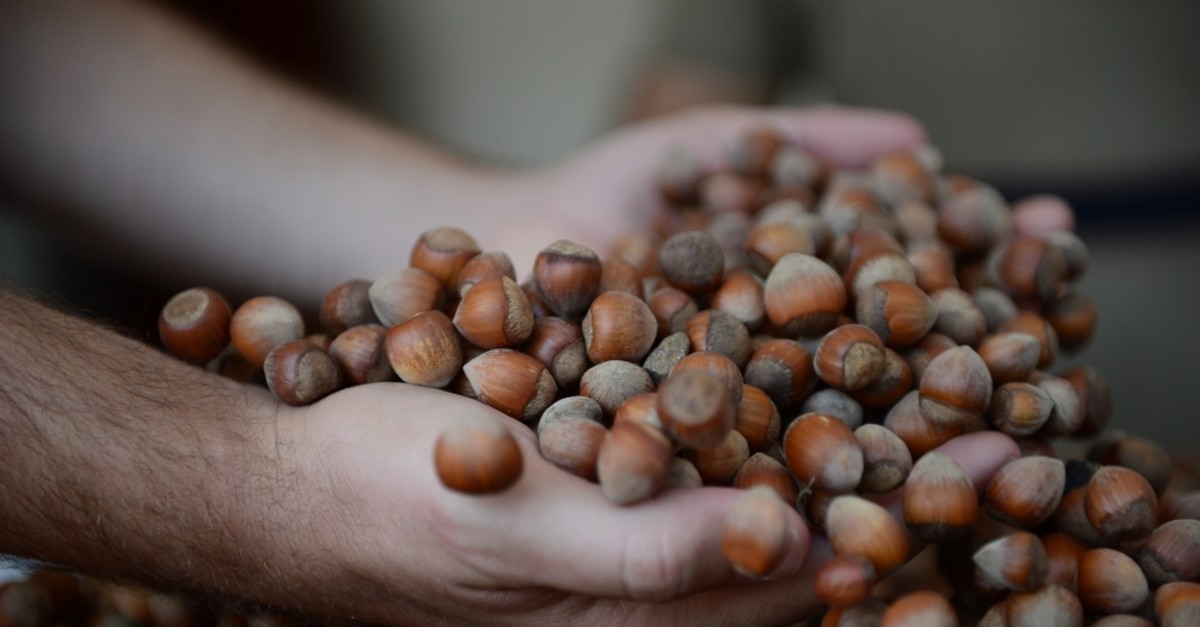 Turkish exporters earned some $1.6 billion in turn for 269,399 tons of hazelnuts they exported to 115 countries this season.