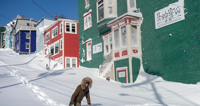 newfoundland on