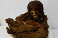 In this Aug. 15, 2019 photo, the 500-year-old mummy of an Incan girl sits inside a vault at the National Museum of Anthropology in La Paz, Bolivia (AP Photo)