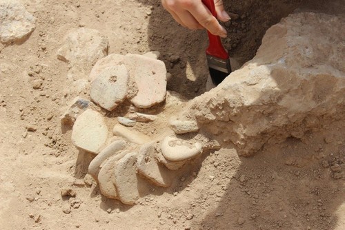 Earliest Islamic site discovered in Qatar desert