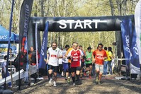 Geyik Kou015fusu at Belgrad Forest