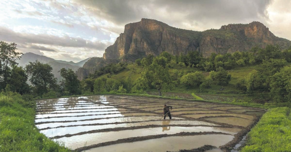 One of the award-winning photos from last year's contest.