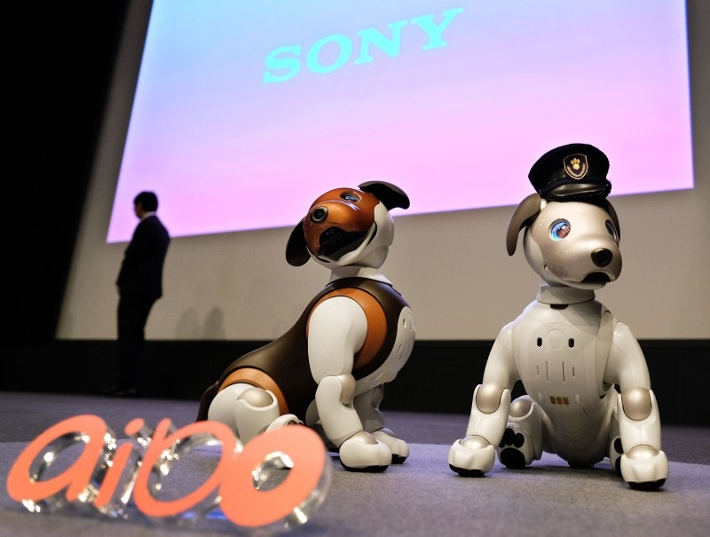 Versions of Sony's puppy-sized robot dog ,Aibo,, including a 2019 limited special colour model (L), are displayed during a press conference at the company's headquarters in Tokyo on January 23, 2019 (AFP Photo)