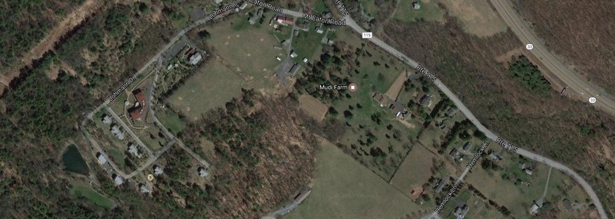 Gülen's compound, which includes the V-shaped red-tiled building on left, is located right next to the farm.