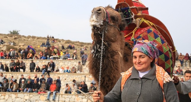A camel breeder poses with her camel which will soon wrestle in the arena.