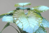 Universal Everything, u201cScreens of the Futureu201d in the u201cFluid Bodiesu201d exhibition.