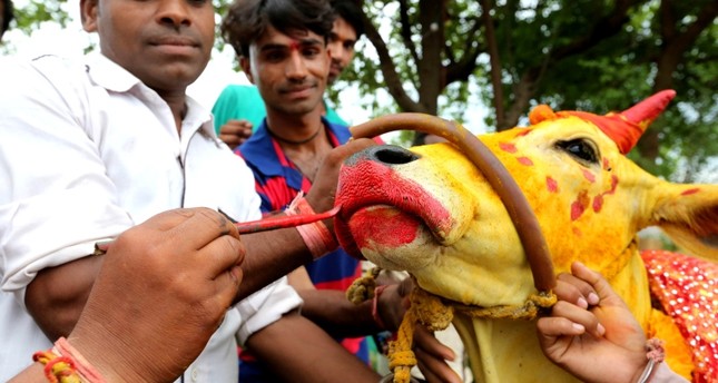 هندوس يضربون مسلماً في الهند حتى الموت بتهمة تهريب الأبقار