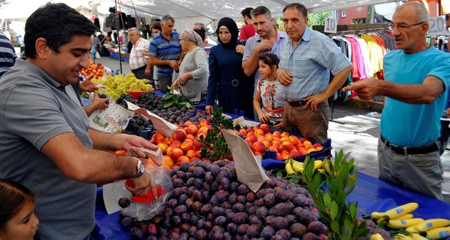 صادرات تركيا من الفواكه تصل 50 دولة حول العالم