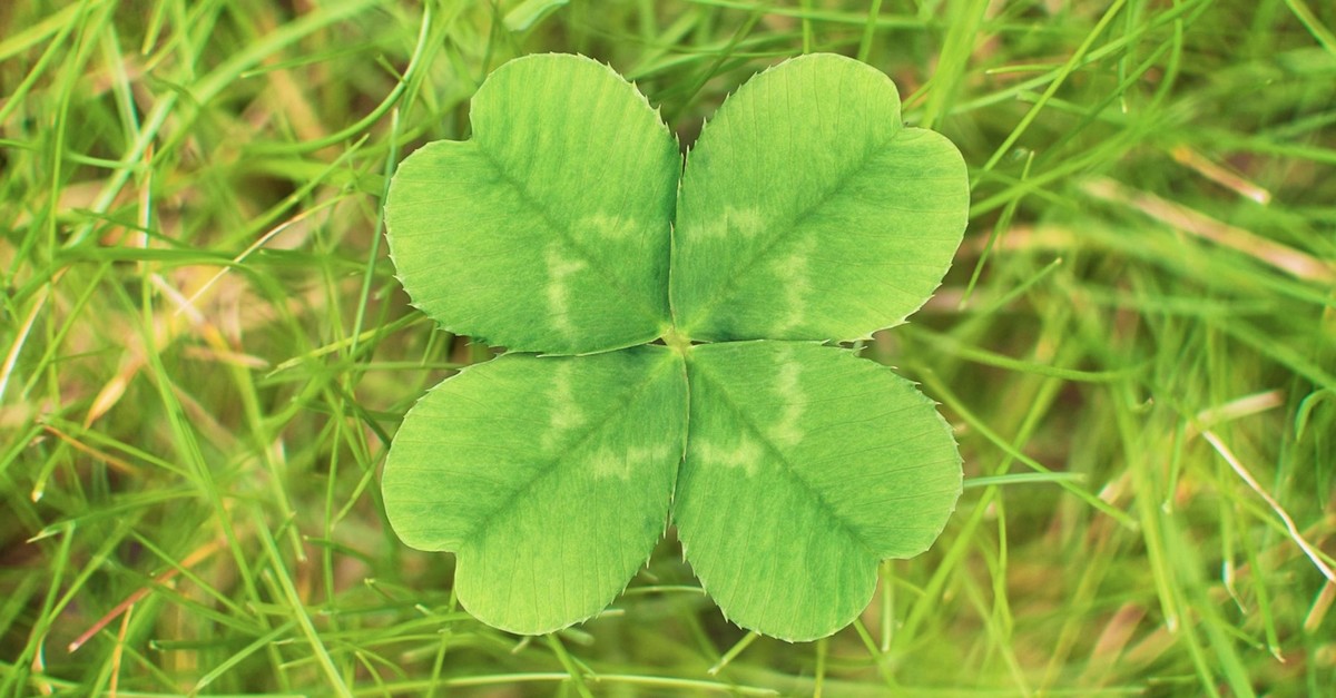 The Luck of a Four-Leaf Clover