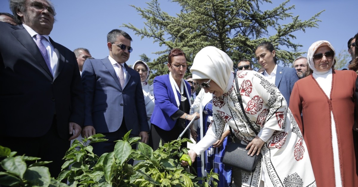 First lady Emine Erdou011fan examined plants grown at a Ministry of Agriculture Center where seeds are preserved in Ankara, Sept. 4, 2019.