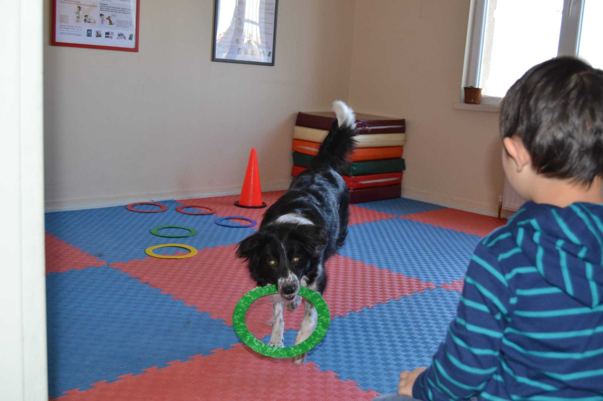 Love As A 4 Legged Word Rehab Dog A Hero For Children With Down Syndrome Autism In Turkey Daily Sabah Love As A 4 Legged Word Rehab Dog A Hero For Children With Down Syndrome Autism In Turkey Daily Sabah