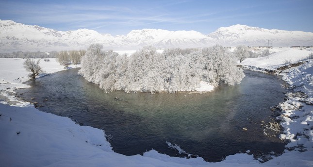 أغصان الأشجار في متنزه وادي مونزور الوطني في تركيا تكتسي بالجليد جراء البرد القارس صورة: الأناضول
