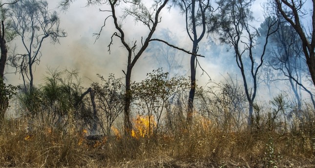 الأمم المتحدة: مستعدون لمساعدة تركيا في مكافحة حرائق الغابات