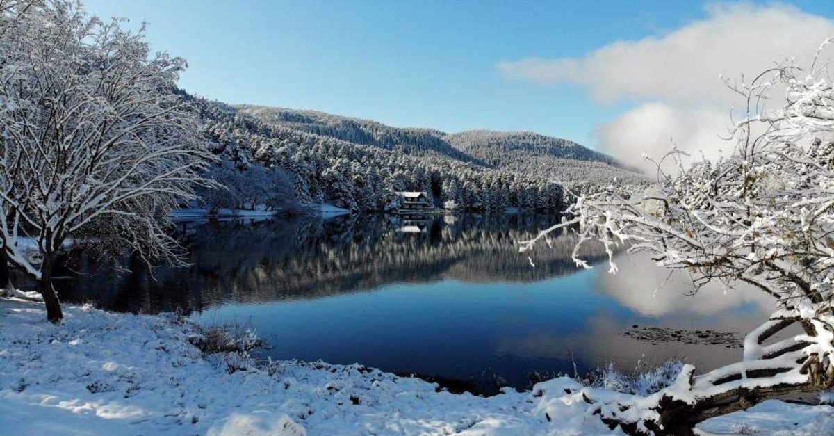 belønning Minister kartoffel With snow falling, it's time to see nature in its best look | Daily Sabah