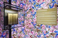 The stories of the manuscripts will be told during the curator-guided tour.