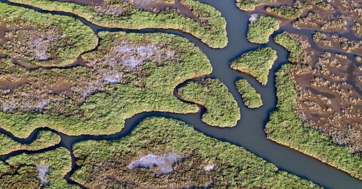 The Gediz Delta is one of the largest wetlands in Turkey. (DHA Photo)