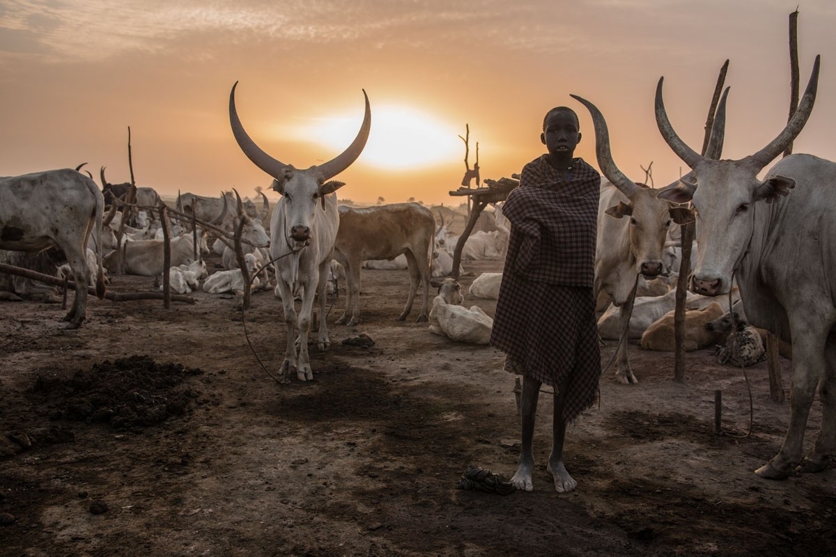 South Sudan's cattle grazers in pictures