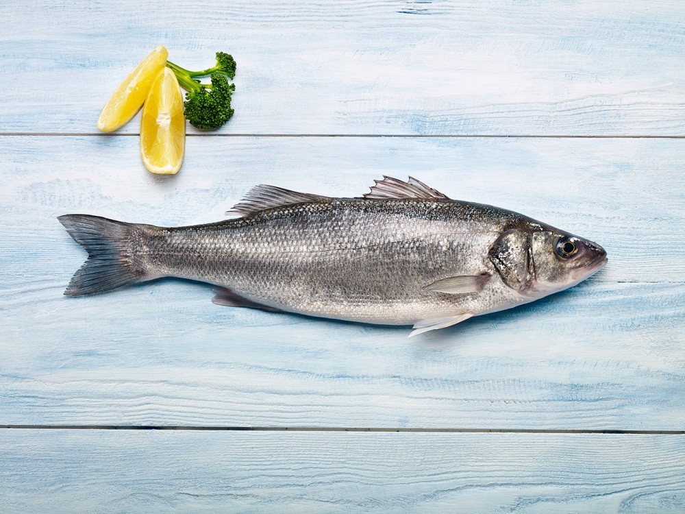 A beginner's guide to Turkey's fish season Daily Sabah