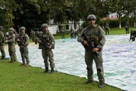 Colombian police and soldiers guard 11 tonnes of seized cocaine in Apartado, Colombia (Reuters File Photo)