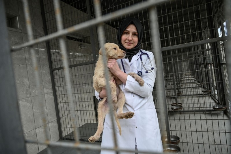 Tugce Demirlek, chief veterinarian of the Sultangazi Health Center poses with a stray dog on January 30, 2019 in Istanbul
