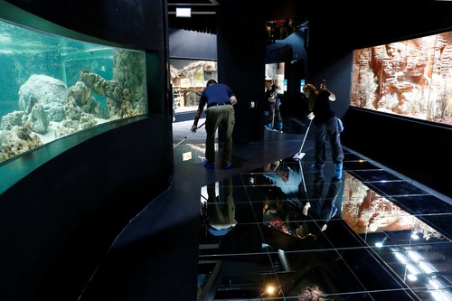 Staff members clean the floor of Europe's biggest freshwater aquarium Aquatis, in Lausanne, Switzerland October 17, 2017. (REUTERS Photo)