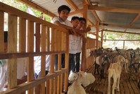 Locals at a pen for goats provided by Tu0130KA in Mindanao. The agency also aims to boost agricultural income in the island.