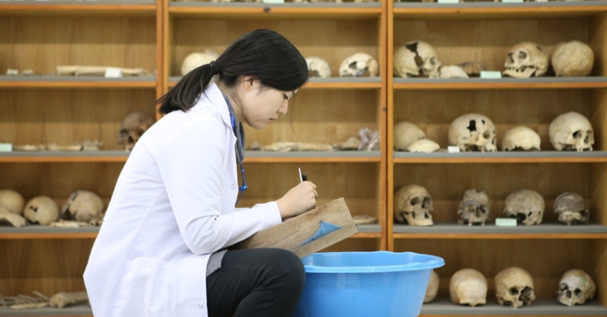 Turkey To Launch Its First Anthropological Dna Lab Daily Sabah