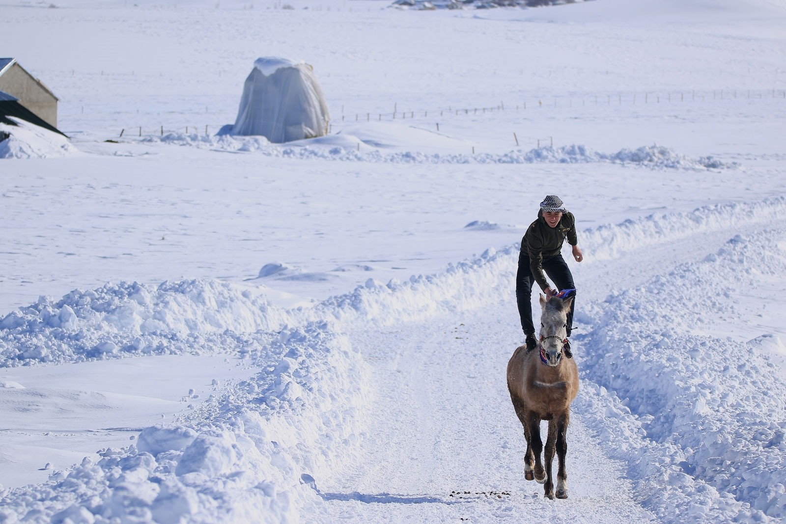 Жители Карлыова тренируют лошадей в снежную погоду