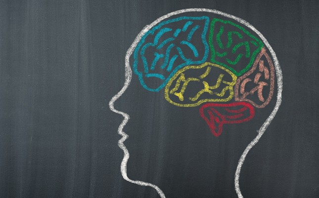 Dramatic drop in people’s IQ levels since 1975, study reveals