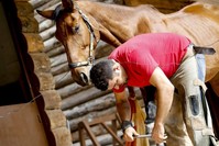 K?rk?l tends the hoof of a horse at a farm in Antalya. He says putting a horse's comfort first makes the job easier. (AA Photo)