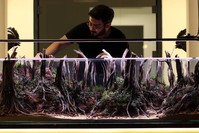 التركي مرت يلماز أحد الفنانين القلائل في تركيا الذين يعملون في فن تشكيل لوحات فنية لمناظر طبيعية داخل أحواض السمك صورة: الأناضول