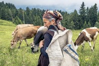An elderly shepherdess in the Black Sea province of Rize. (iStock Photo)