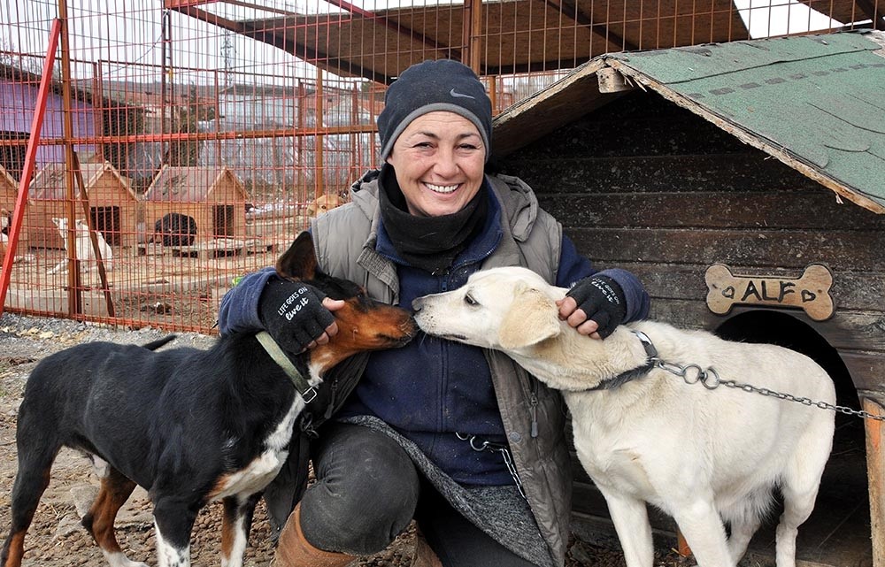 Angel shelter: Turkish teacher becomes veterinarian to care for 400 ...
