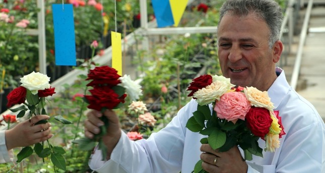 البروفيسور سونار قزاز مطور سلالة الورد التركية المحلية DHA