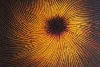 An oil painting by Ahmet Ye?il at ,Sesler ve ?zler, (,Voices and Marks,).