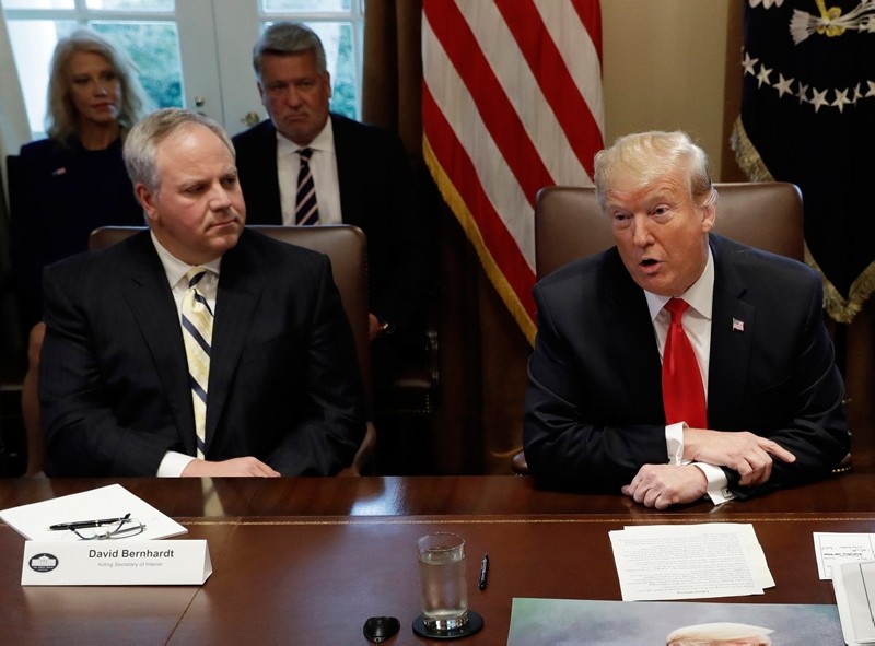 In this Jan. 2, 2019, file photo, President Donald Trump speaks during a cabinet meeting at the White House, Wednesday, Jan. 2, 2019, in Washington, as Acting Interior Secretary David Bernhardt listens. (AP Photo)
