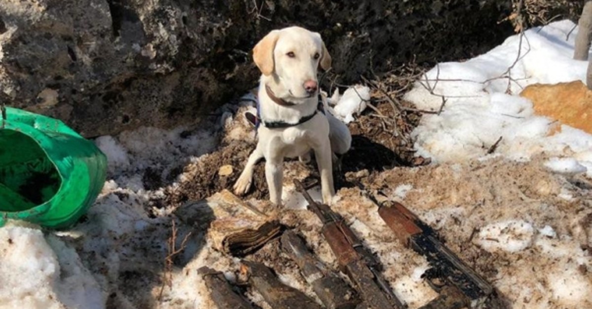 Detection dog stands over weapons seized from PKK depots in eastern Turkey. (AA Photo)