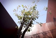 A still from Hale Tenger's ,Under.,