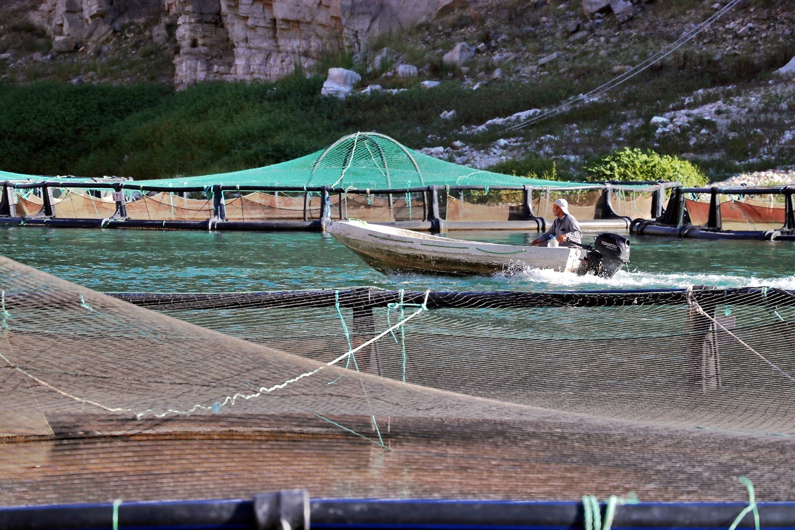 Рыбная ферма по выращиванию форели и лосося в турецком Элязыге