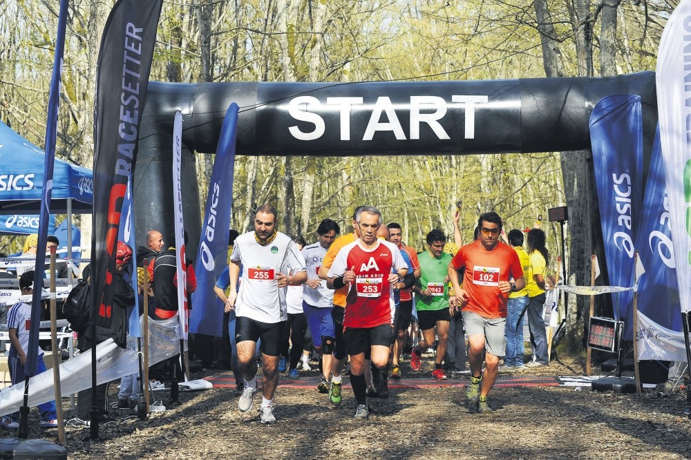 Geyik Kou015fusu at Belgrad Forest